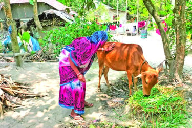 জেলে পরিবারে বিকল্প আয়ের উদ্যোগ