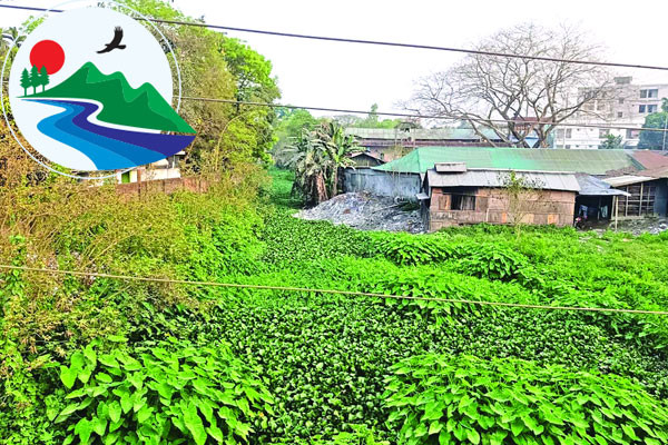ঐতিহ্যবাহী বামনডাঙ্গা নদী এখন নালা