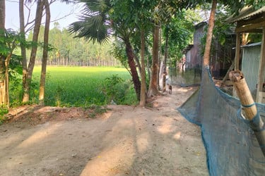 রাস্তার অভাবে দুর্ভোগে গোপালগঞ্জের ২৫০ পরিবার