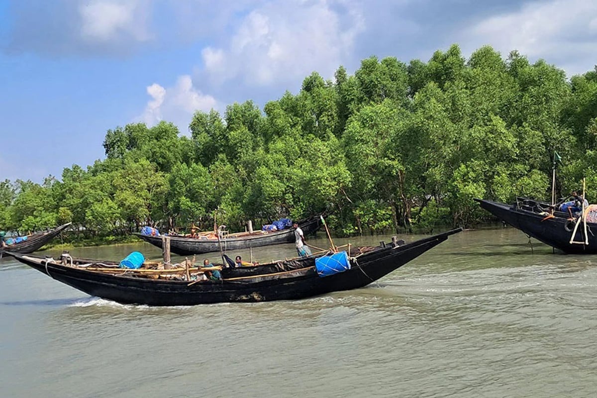 সুন্দরবনে দস্যুতা : মুক্তিপণ দিয়ে ছাড়া পেলেন ১৩ মৌয়াল