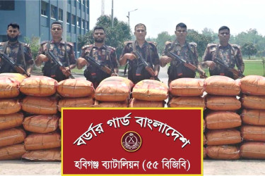 হবিগঞ্জে ১ কোটি ৩৪ লাখ টাকা মূল্যের ভারতীয় জিরা জব্দ