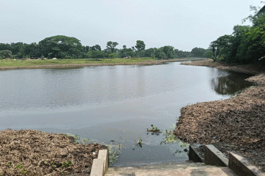 ঝিনাইদহে সরকারি জলাশয় থেকে মাছ লুটের অভিযোগ
