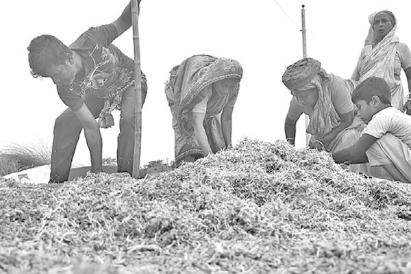 মড়ার ওপর খাঁড়ার ঘা