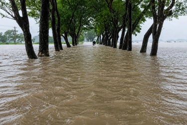 উত্তর-পূর্বাঞ্চলে বৃষ্টিপাত বেড়ে ফের বন্যা পরিস্থিতি অবনতির শঙ্কা