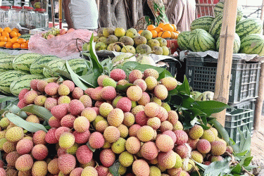 অপরিপক্ব লিচু দিনাজপুরের বাজারে