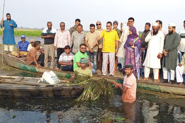 বগুড়ার রক্তদহ বিলে তলিয়ে যাওয়া পাকা ধান পরিদর্শনে এমপি মহিত