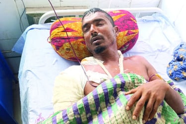 হঠাৎ মৌয়ালের ওপর ঝাঁপিয়ে পড়ল বাঘ