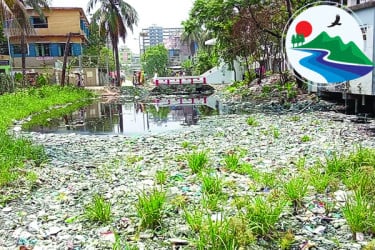 দখল-দূষণে মৃতপ্রায় বগডুমারি খাল
