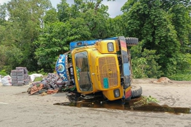 গরু বাঁচাতে গিয়ে ট্রাক উল্টে নিহত ১, আহত ২