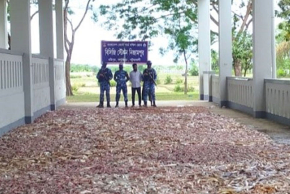 কলাপাড়ায় সামুদ্রিক মাছ জব্দ