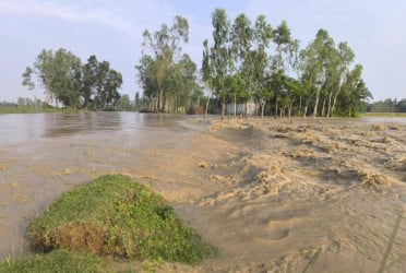 পাহাড়ি ঢলের শঙ্কা : শেরপুরে চেল্লাখালী নদীর পানি বিপদসীমার ওপরে