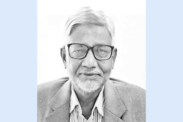 সবচেয়ে বেশি ক্ষতি হয়েছে কোন আমলে