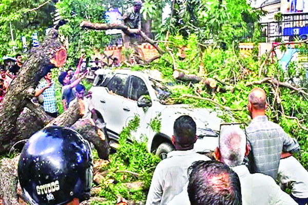 ঝড়ে লন্ডভন্ড উত্তরপ্রদেশ