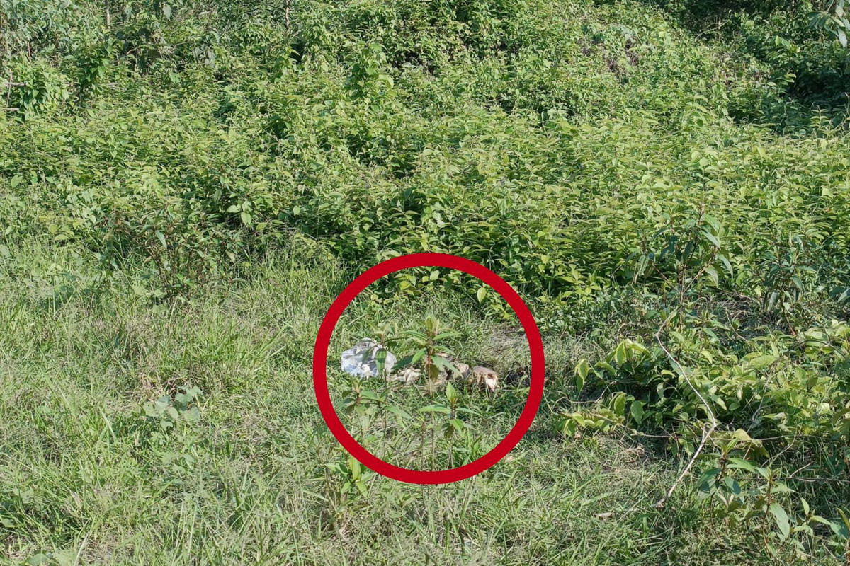 ফটিকছড়িতে মানুষের মাথার খুলি উদ্ধার