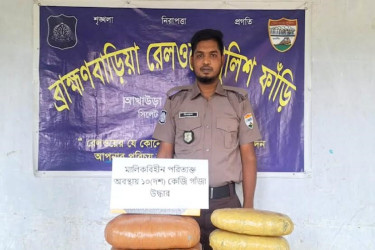 অনির্ধারিত ট্রেন থামিয়ে তল্লাশি, টয়লেটে মিলল ১০ কেজি গাঁজা