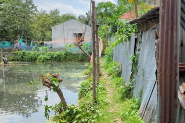 তুচ্ছ ঘটনায় মোংলায় সংঘর্ষ, প্রতিপক্ষের হামলায় আহত ৭