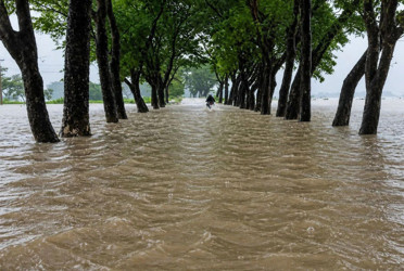 বন্যা পরিস্থিতি নিয়ে নতুন বার্তা দিলো পাউবো