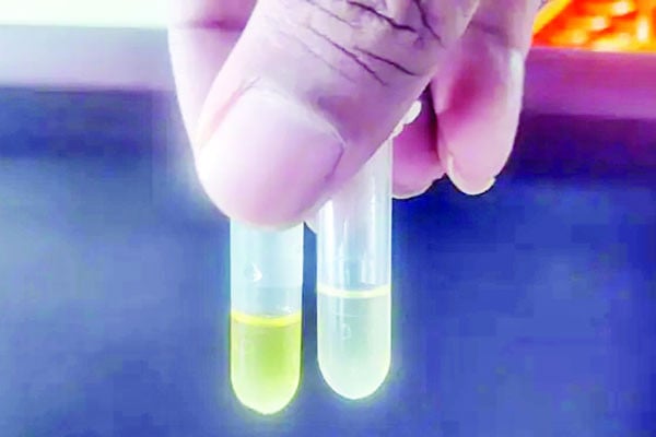 ২৫০ টাকায় শনাক্ত করা যাবে সবজির বিষ