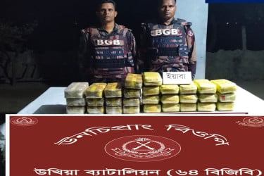 উখিয়ায় দুই লাখ নব্বই হাজার পিস ইয়াবা উদ্ধার