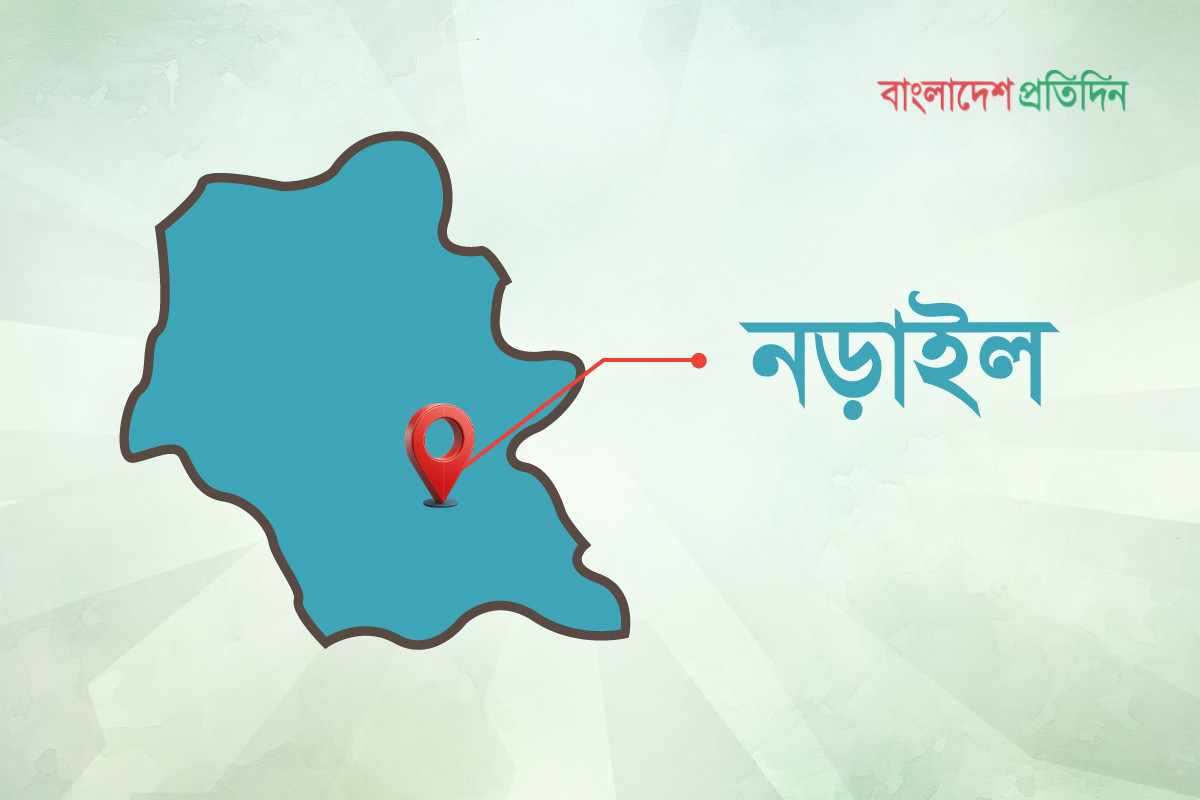 নড়াইলে পিকআপ-লরির সংঘর্ষে নিহত ১, আহত ৪