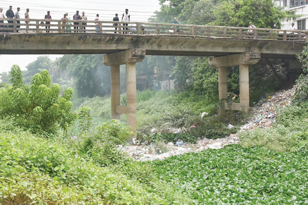 রাজবাড়ীর চন্দনা অপমৃত্যুর কবলে