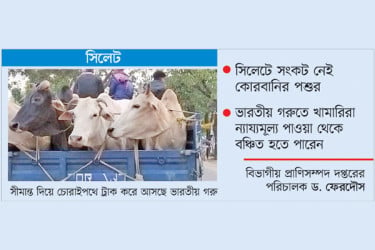 ‘বর্ডার ক্রস’ গরুতে শঙ্কায় খামারিরা