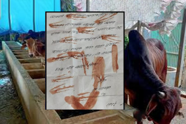 খামারিদের বাড়িতে ‘রক্তমাখা চিঠি’ দিয়ে ডাকাতি ও হত্যার হুমকি