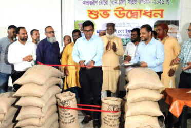 কুড়িগ্রামে বোরো ধান ও চাল সংগ্রহের উদ্বোধন