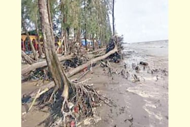 হুমকিতে চট্টগ্রামের পারকি উপকূল