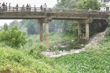 রাজবাড়ীর চন্দনা অপমৃত্যুর কবলে