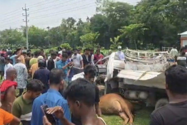 কিশোরগঞ্জে পিকআপ-টমটম সংঘর্ষে একজন নিহত