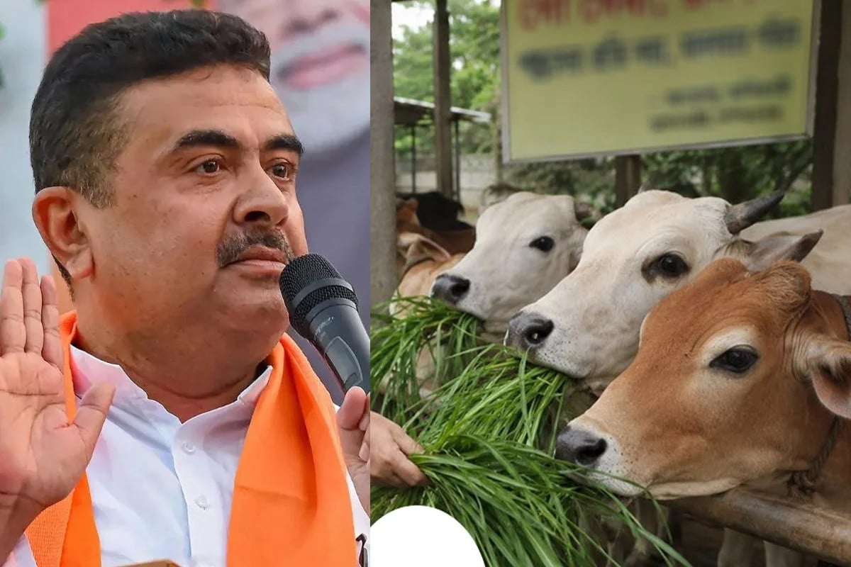 গরু বেচাকেনা বিতর্কে বিপাকে বিজেপি