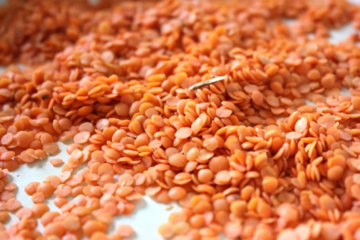 ২০ হাজার টন মসুর ডাল কিনবে সরকার