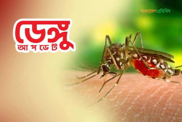 সারাদেশে ডেঙ্গুতে মৃত্যু নেই, হাসপাতালে ভর্তি ৩৩