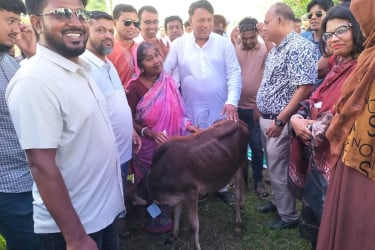 গোপালগঞ্জে ৬০ জন মৎস্যজীবীর মাঝে বকনা বাছুর বিতরণ