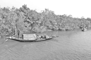 সুন্দরবনে ট্রলারসহ ১২ জেলে অপহরণ