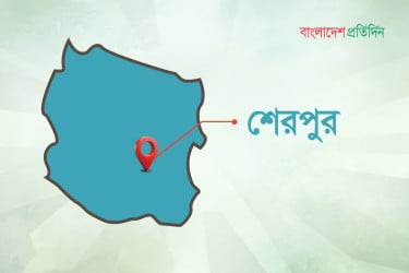 শেরপুরে অটোরিকশা-ট্রাক সংঘর্ষে নিহত ২, আহত ৫