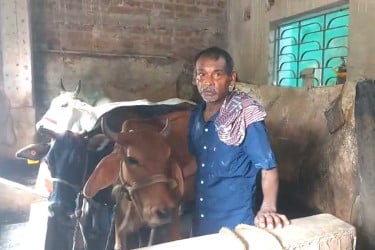 কোরবানির ঈদের আগে বিপাকে পশ্চিমবঙ্গের খামারিরা