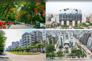 তারেক রহমানের কাছে খোলা চিঠি