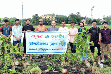 মৌলভীবাজারে বসুন্ধরা শুভসংঘের বৃক্ষরোপণ কর্মসূচি