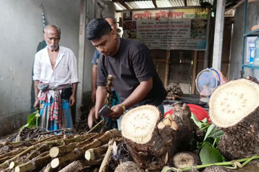 ঈদকে ঘিরে বাগেরহাটে চুইঝালের চাহিদা আকাশচুম্বি, বেড়েছে দাম