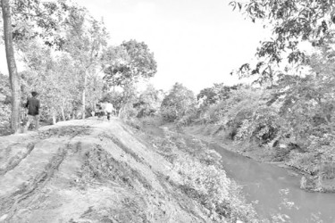 জোড়াতালির বাঁধে বাড়ছে শঙ্কা