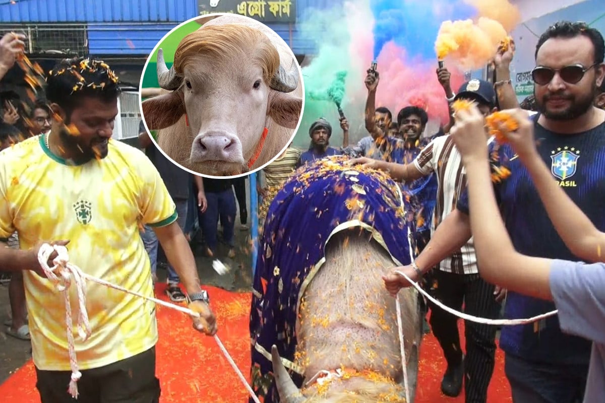 বিদায়বেলায় লালগালিচা সংবর্ধনা পেল বিশ্বজুড়ে ভাইরাল ‘ডোনাল্ড ট্রাম্প’