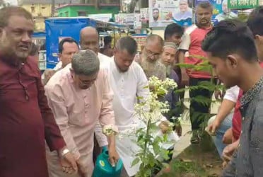 লক্ষ্মীপুরে পরিবেশ রক্ষায় বৃক্ষরোপণ কর্মসূচি