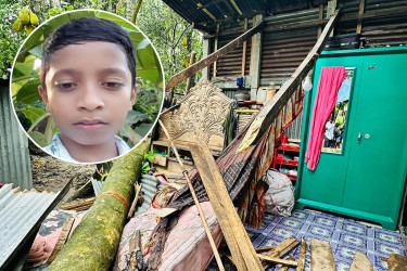 ঝড়ে ঘরের ওপর গাছ ভেঙে পড়ে প্রাণ গেল শিশুর