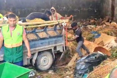 রাজধানীতে চলছে কোরবানির পশুর বর্জ্য অপসারণ