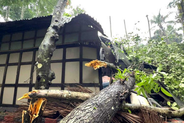 কালবৈশাখী ঝড়ে দুইদিন বিদ্যুৎহীন চাঁদপুরের শতাধিক গ্রাম, ঈদ উদযাপনে ভোগান্তি