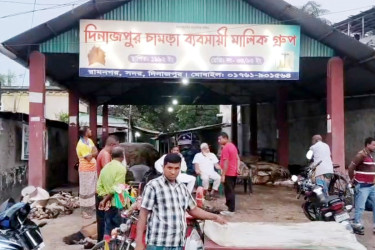 এক কাপ চায়ের দামে ছাগলের চামড়া, সংকটে দিনাজপুরের ব্যবসায়ীরা