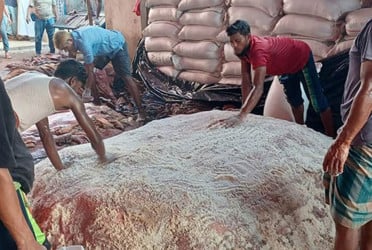 ৪০০ টাকার চামড়া ১৫০ টাকায় বিক্রি, হতাশ মৌসুমি ব্যবসায়ীরা
