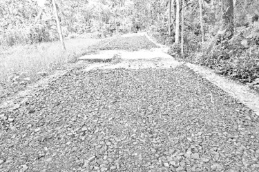 সড়কের কাজের সঙ্গেই কালভার্ট-ব্রিজ নির্মাণ চান এলাকাবাসীর